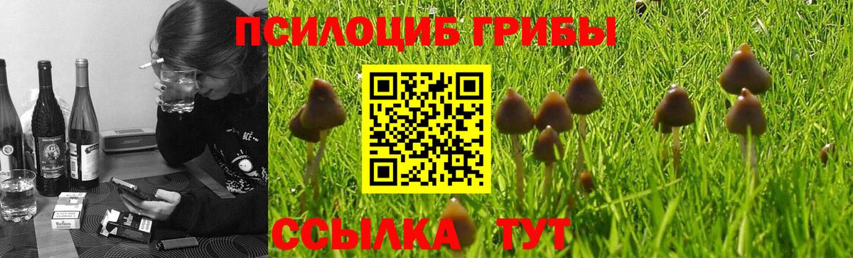 Ростов-на-Дону  Псилоцибиновые грибы Magic Shrooms  Вход с VPN 