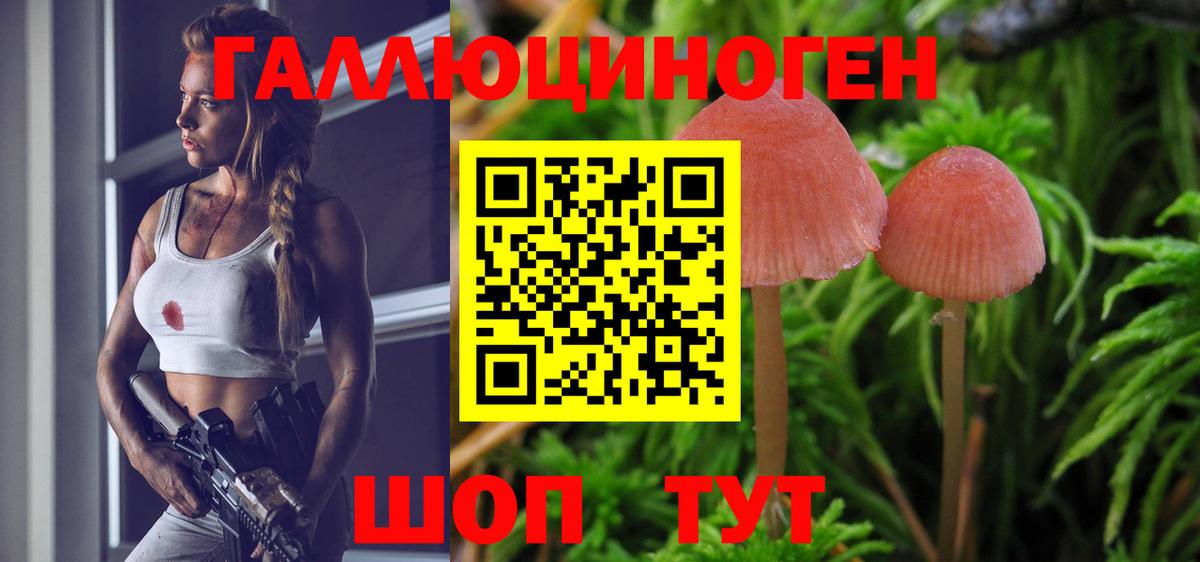 Галлюциногенные грибы Magic Shrooms Ростов-на-Дону
